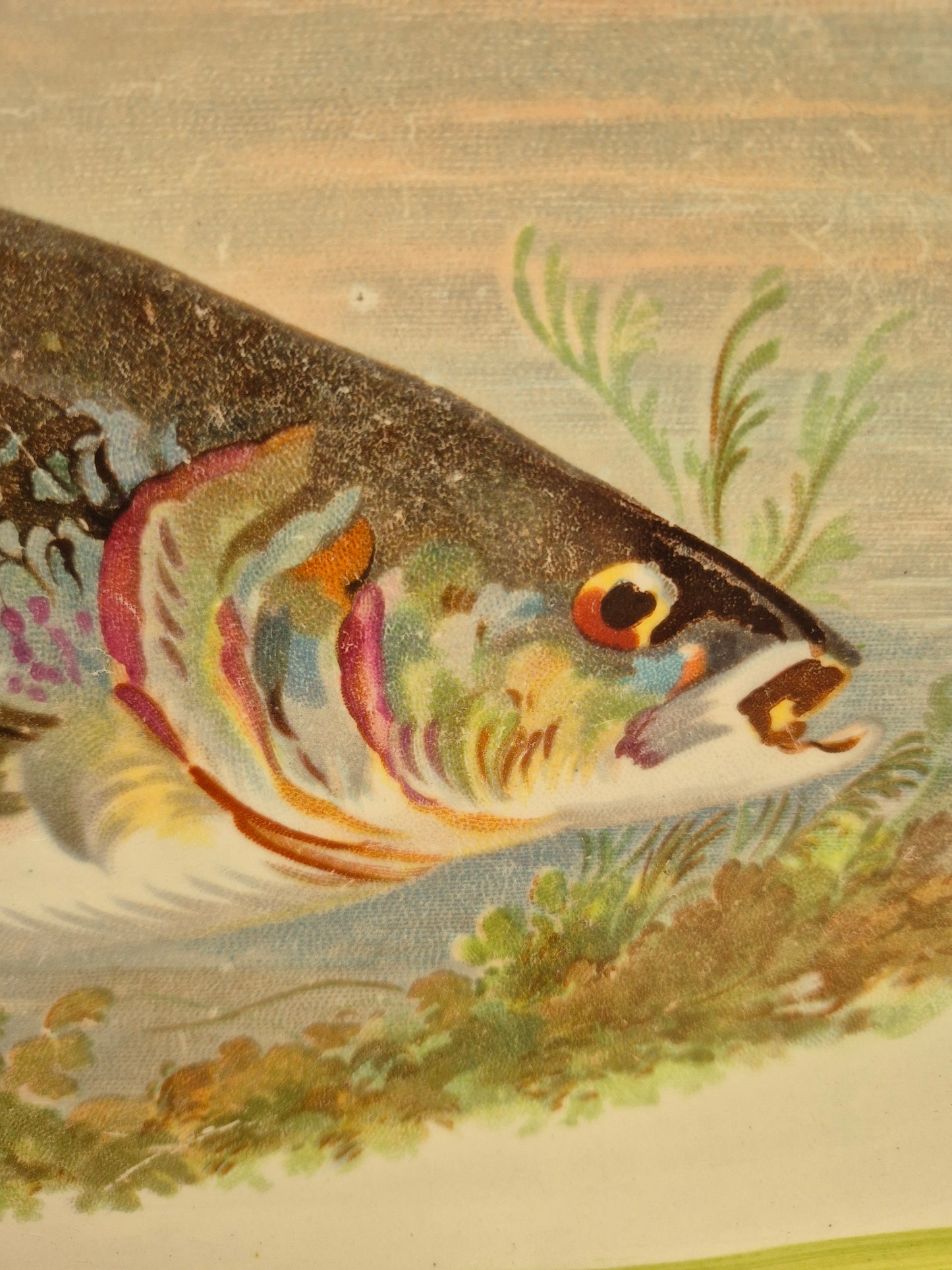 A Vintage 1930s Fish Platter