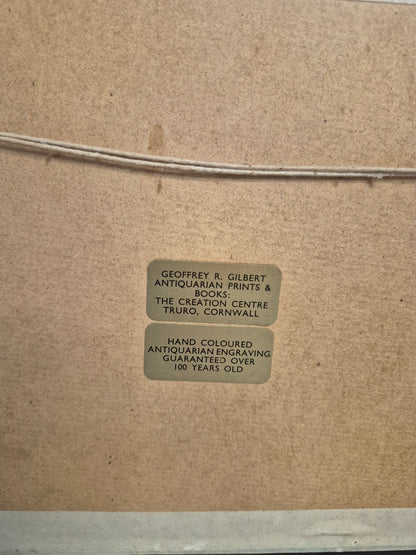 A Pair of Antique Engravings of Newcastle-Upon-Tyne