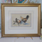 Vintage Watercolour of Chickens