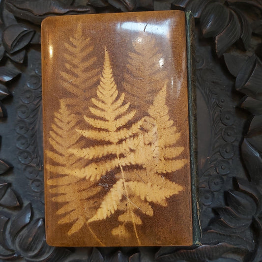 Antique Mauchline Ware or Fern Ware Book, The Poetical Works of Sir Walter Scott