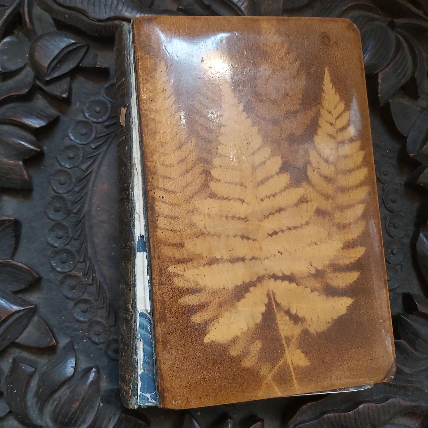 Antique Mauchline Ware or Fern Ware Book, The Poetical Works of Sir Walter Scott